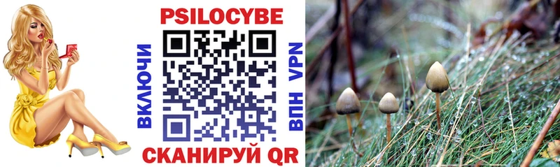 Псилоцибиновые грибы Psilocybe  Серафимович 